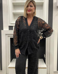 Completo Dafne